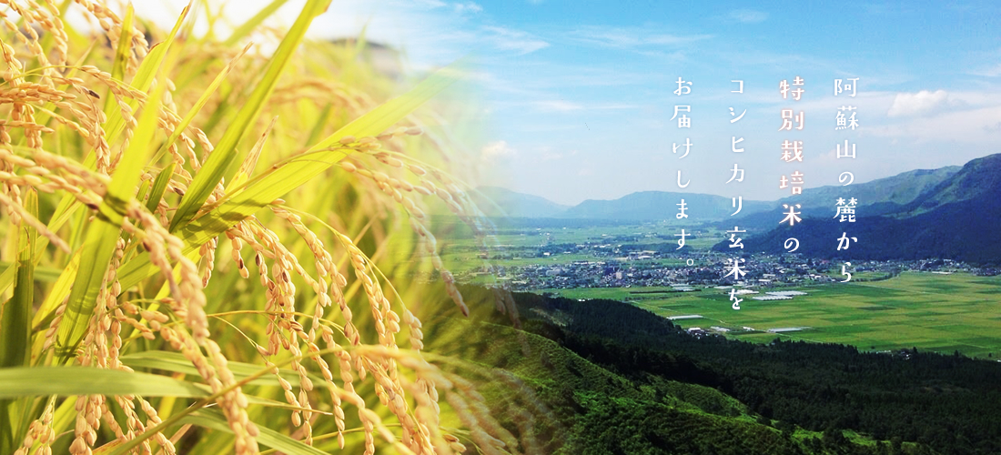阿蘇山の麓から特別栽培米のコシヒカリ玄米をお届けします。